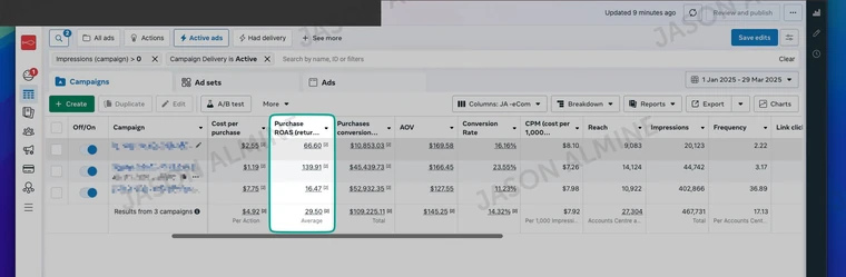 NBL Store: purchase ROAS